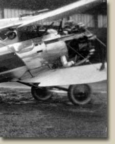 Bulldog near a hanger